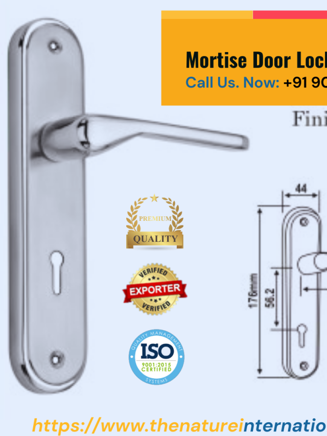 cropped-door-handles-that-lock-2.png